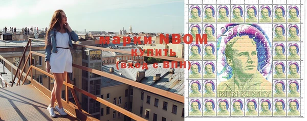 винт Няндома