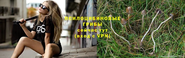 ECSTASY Нягань