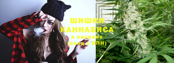 винт Няндома