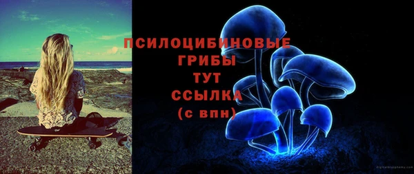 винт Няндома