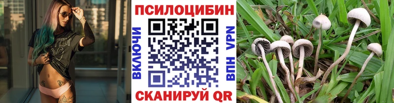 Псилоцибиновые грибы Magic Shrooms  Братск 