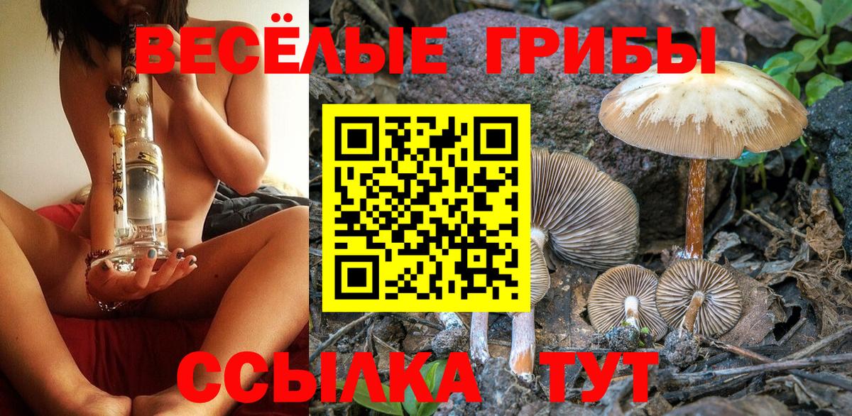 Галлюциногенные грибы GOLDEN TEACHER Братск
